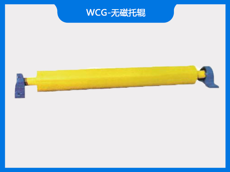 WCG-無(wú)磁托輥